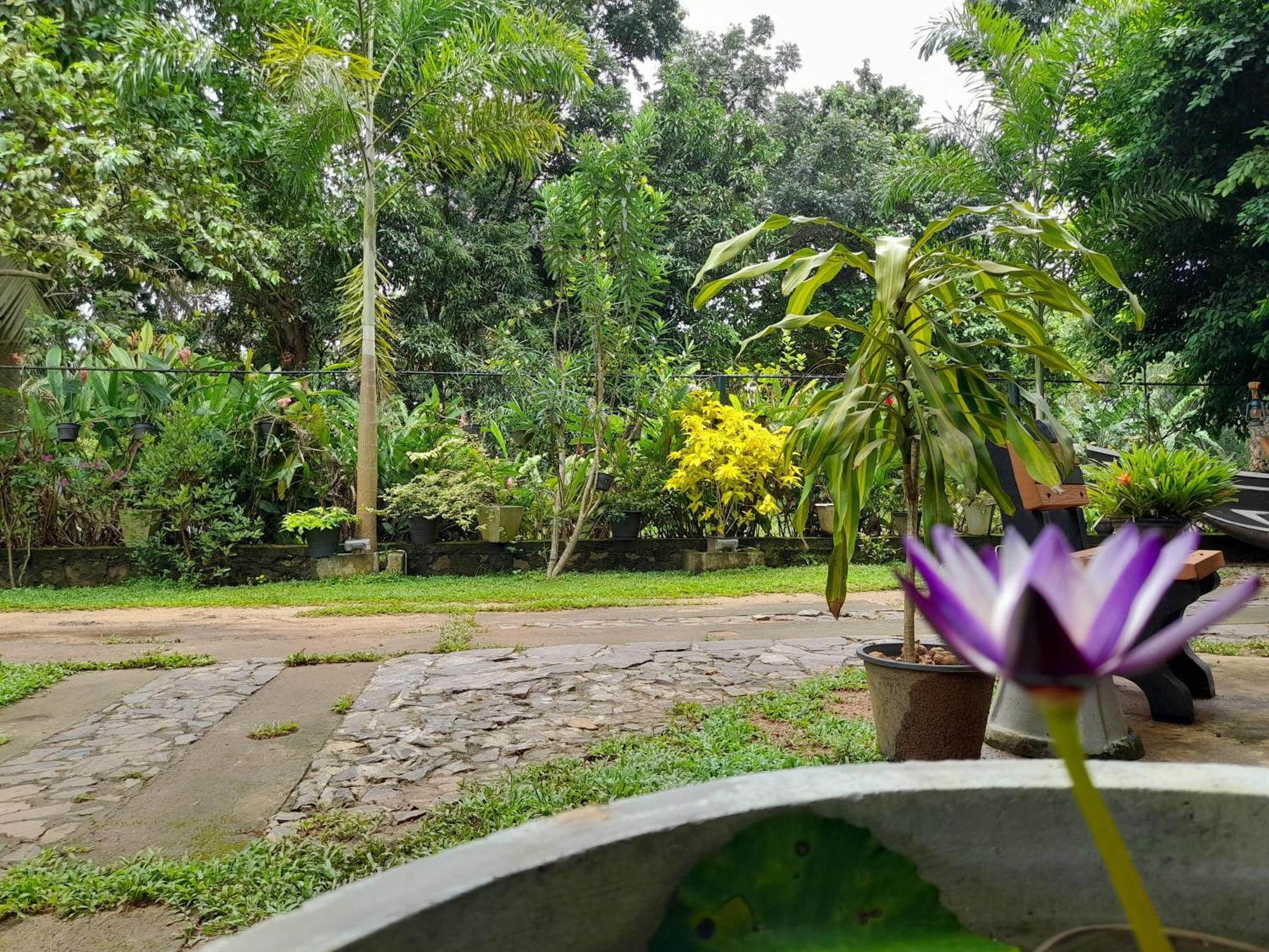 Ging View Villa Galle Exterior foto